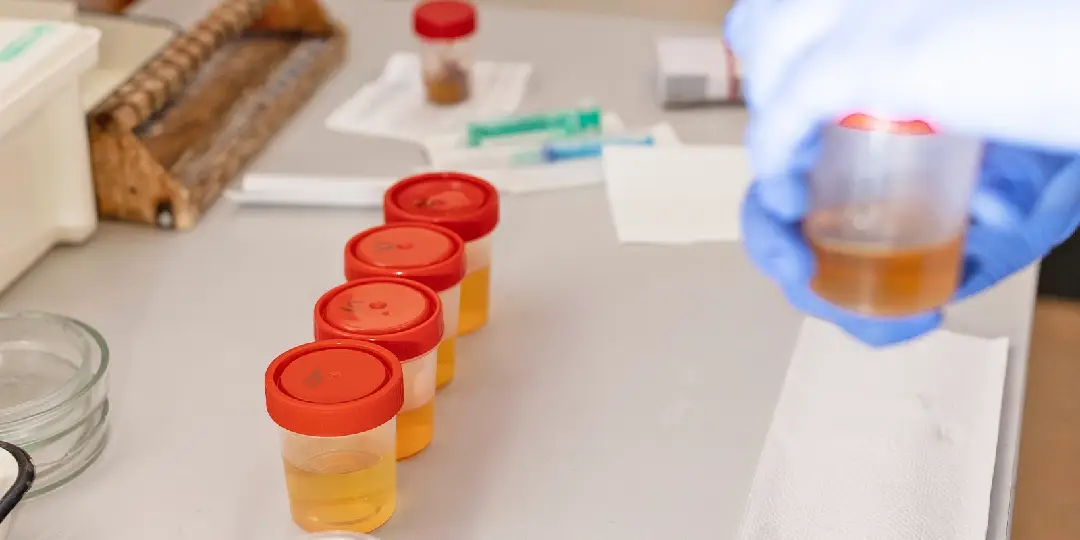 Substance Abuse Policy